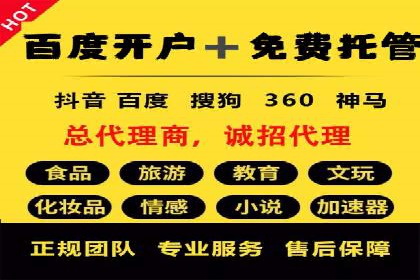 某SEM外包公司广告投放策略及效果评估